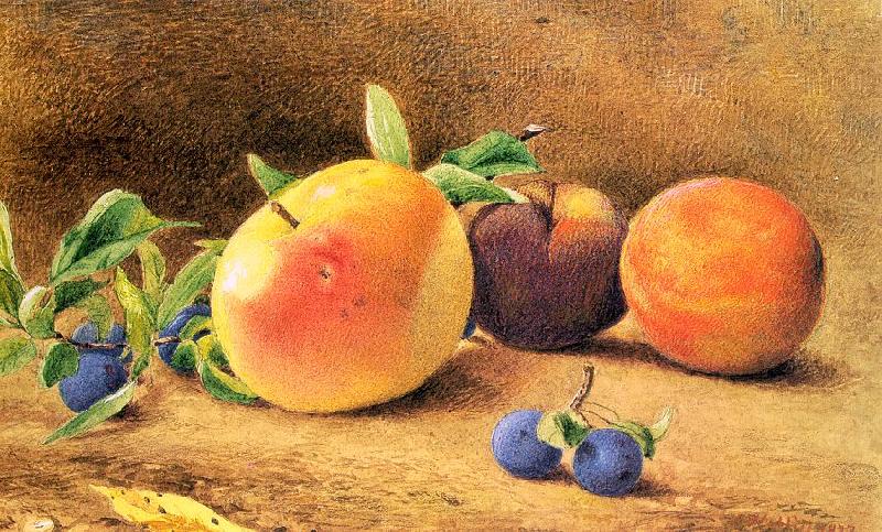 Hill, John William Study of Fruit china oil painting image